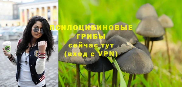 PSILOCYBIN Богородицк